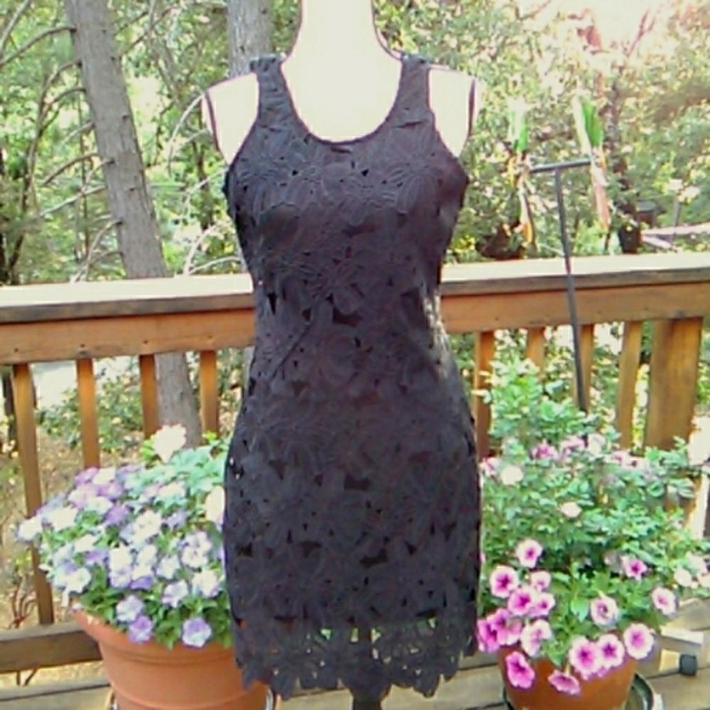 Japna Guipure Black Lace Dress